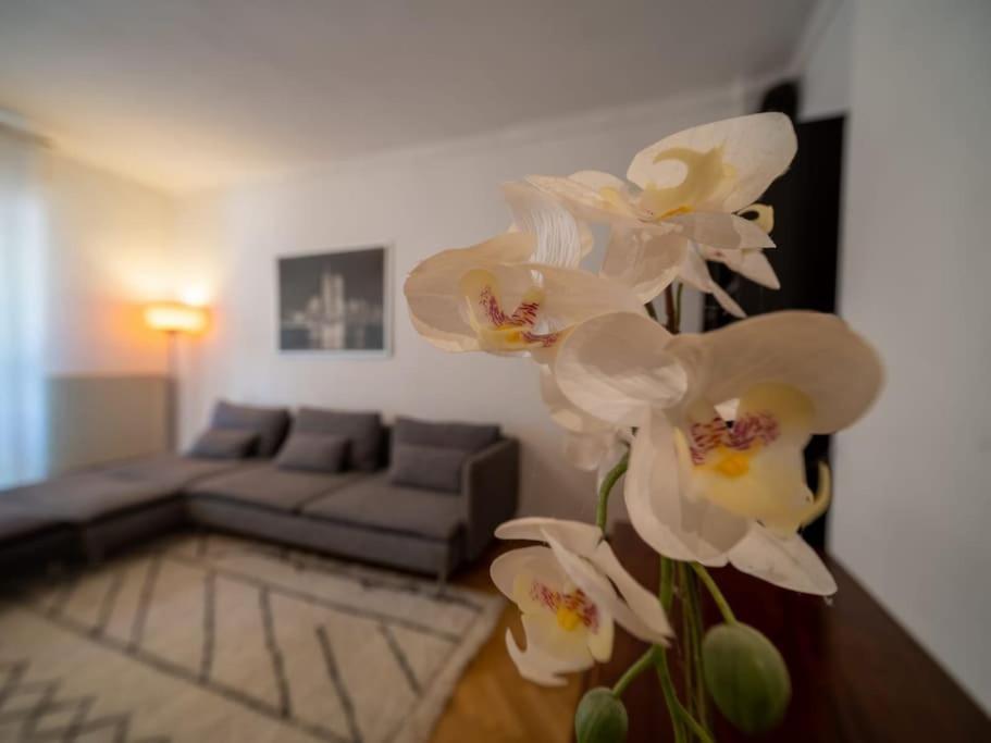 Appartement Climatise Tout Equipe A Cote Du Stade Velodrome Marseilles Exterior foto
